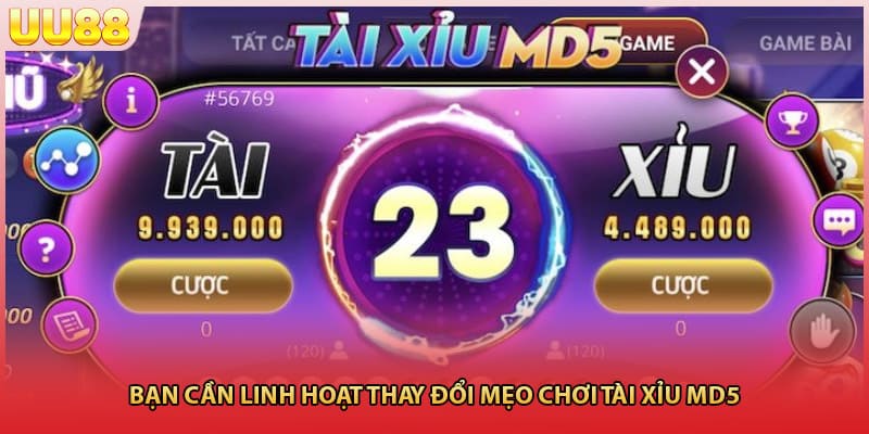 Bạn cần linh hoạt thay đổi mẹo chơi tài xỉu MD5 