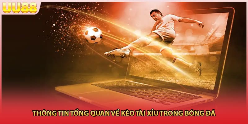 Thông tin tổng quan về kèo tài xỉu trong cá cược bóng đá